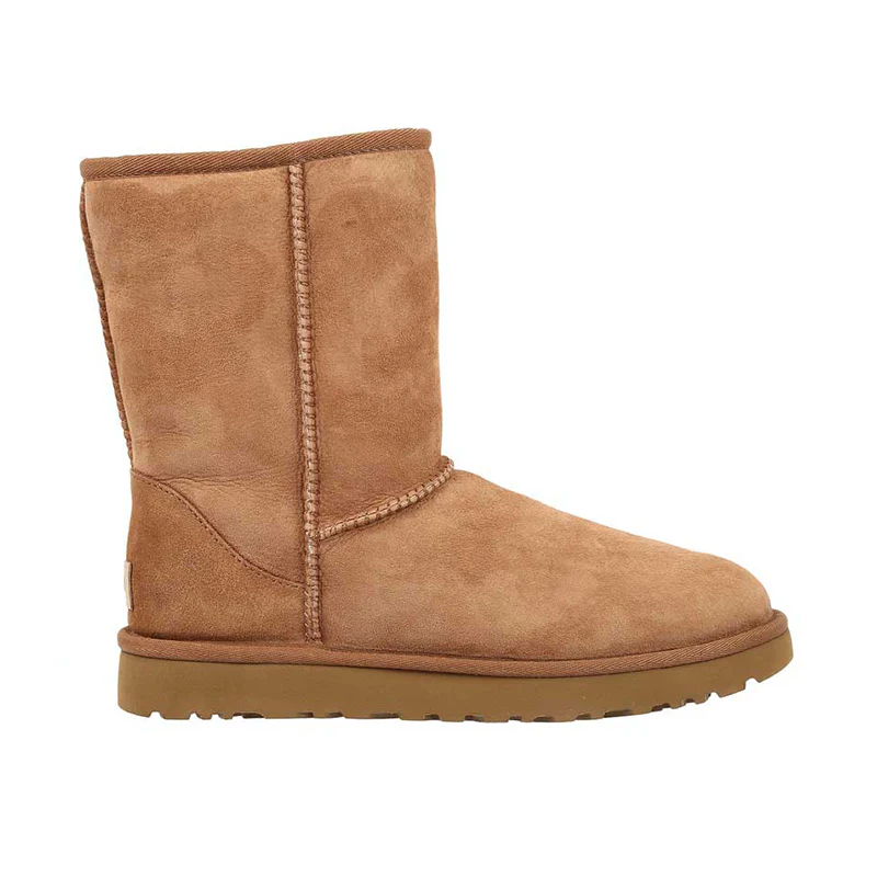 Women's Classic Short II Chestnut - Image 2